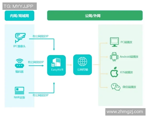 如何查询足球明星的罚球记录和统计数据分析方法